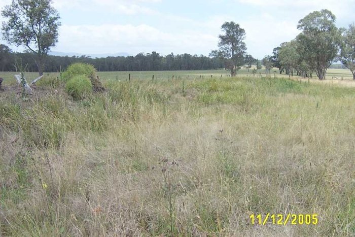 It is hard to follow the Stanford Merthyr branch into the junction because of the long grass. The raised section in the middle of the photo is Aberdare Junction platform, the formation can be seen in the bottom of the photo where the ash is.