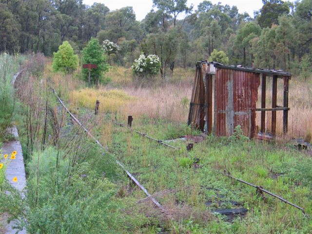 
The view looking up the Down Main side of the platform.  The one-time
Abermain Colliery sidings were located among the trees on the right.
