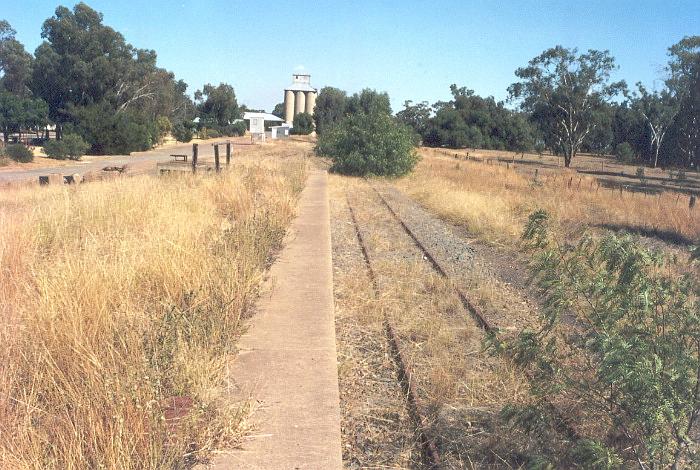 
The view looking down along the platform with the silos in the distance and
the dead end from the siding next to the road just behind the end of the
platform.
