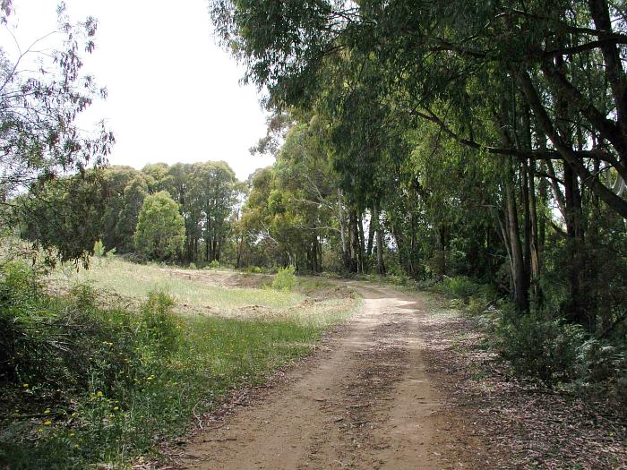 
A view of the formation about 2 km outside of Batlow.  It is now used as
a road.
