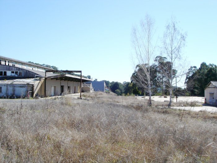 The location of the Packing House siding, which passed under the gantry to the left of centre.  The main line is beneath the grass to the left of the two trees,
and passes through to the middle distance.