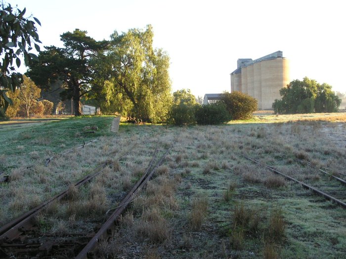 The view looking north to the remains of the platform.