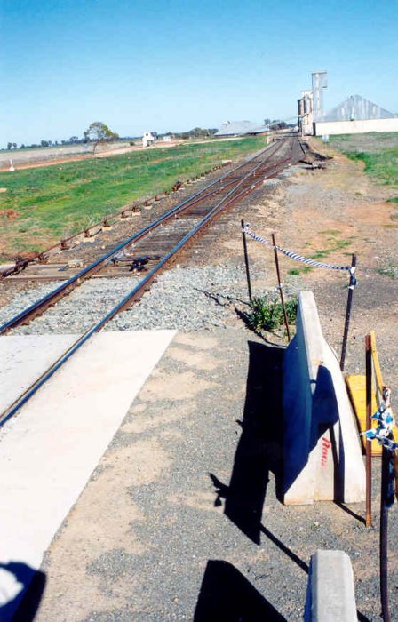 The view from the eastern end of the yard looking west towards the silo complex.