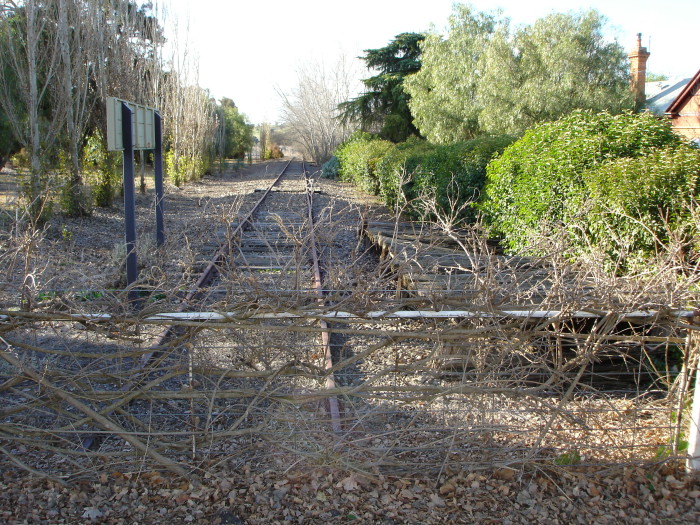 The view looking north through the station vicinity.