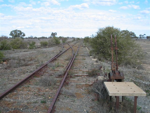 
Looking towards Nyngan at the abbatoir siding.
