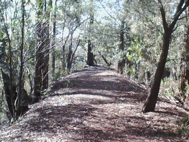 
The line formation near the end of the line, not far from the northern end
of the tunnel.
