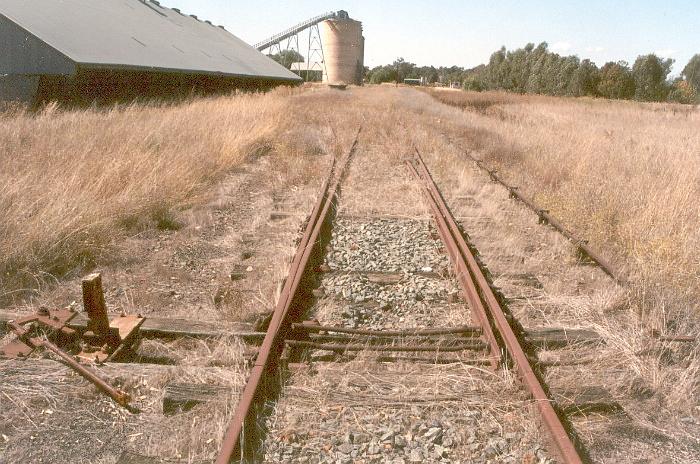 The view of the yard and silos from the Corowa end.