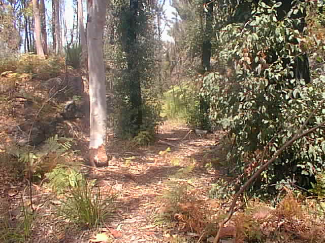 The remains of the old alignment in the vicinity of Cawley.