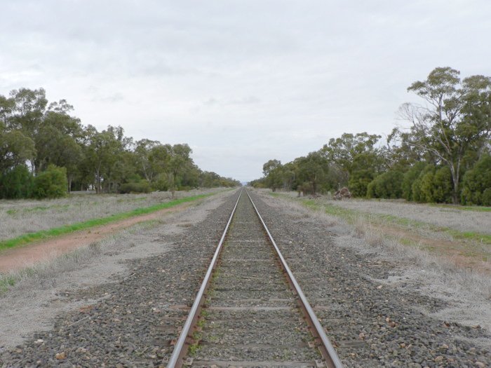 The view looking east, with no trace remaining.