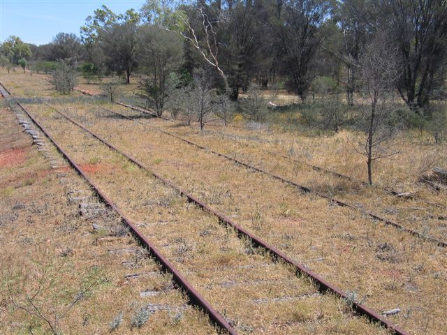 
The view looking south of the main and loop lines.
