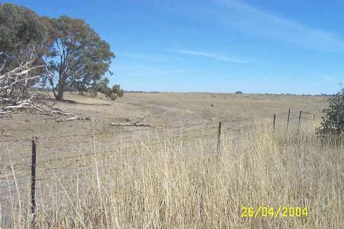 
The formation veers to the left after it leaves the main line.
