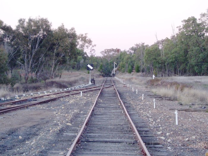 The view looking east towards the up end of the yard.