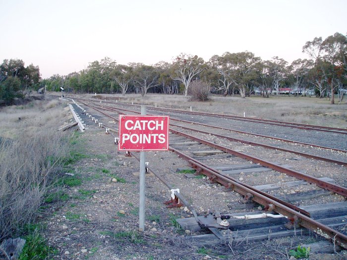 The view looking towards the up end of the yard.