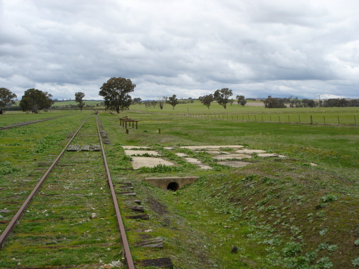 The foundations of some unknown structures at the down end of the yard.