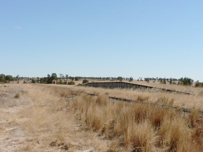 The view looking north towards the loading bank.