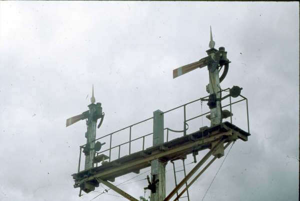 Long gone signals at Culcairn. This was situated at the Albury end of the platform road; the left signal was for the loop to Corowa (lever 7) and the right signal (lever 6) was for the Corowa line from the back platform road. 