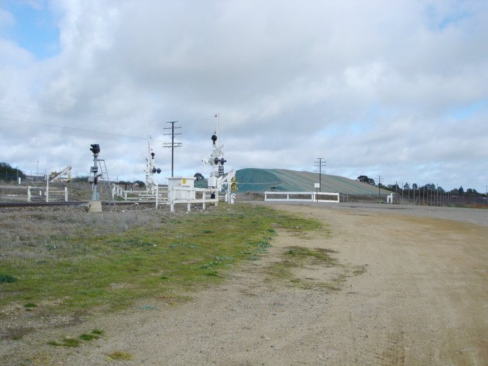 Grain being stored under tarpaulins adjacent to the main line.