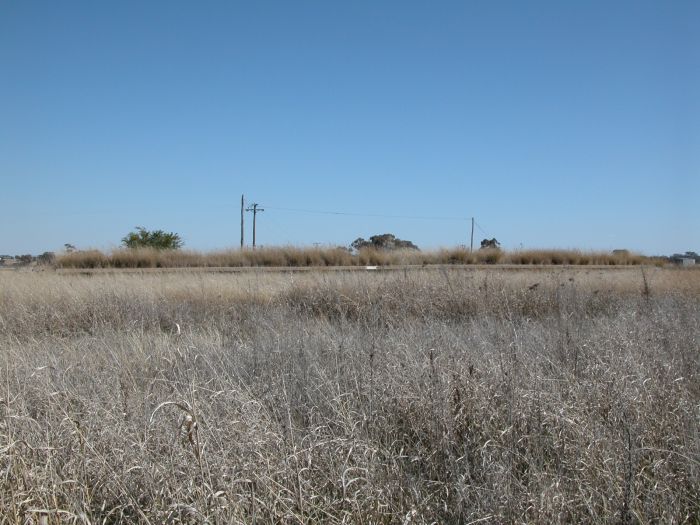 
The long concrete platform is almost buried beneath the long grass.
