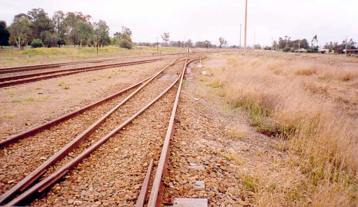 The view looking back up the yard in the direction of Muswellbrook.