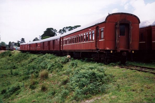 
Some railway carriages being stored in a siding at Dorrigo.
