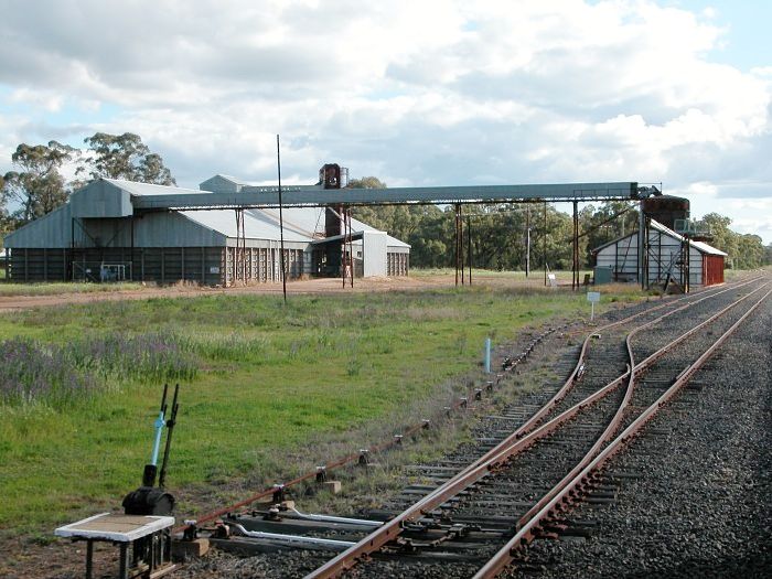 
The wheat siding at Elong Elong.
