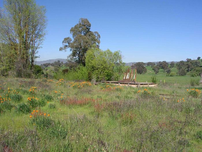 
The C frame is still visible although most of the yard is covered in
spring-time flowers.
