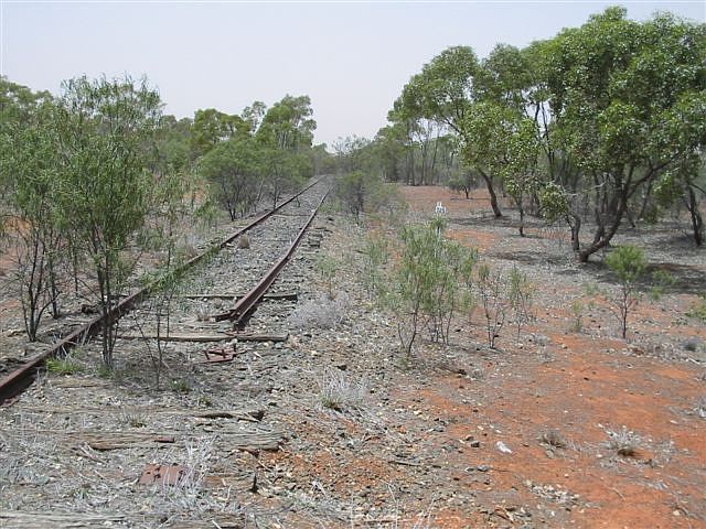 
The line at Glenariff, looking back towards Nyngan.
