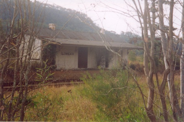 
The view through the trees of the dilapidated station building.
