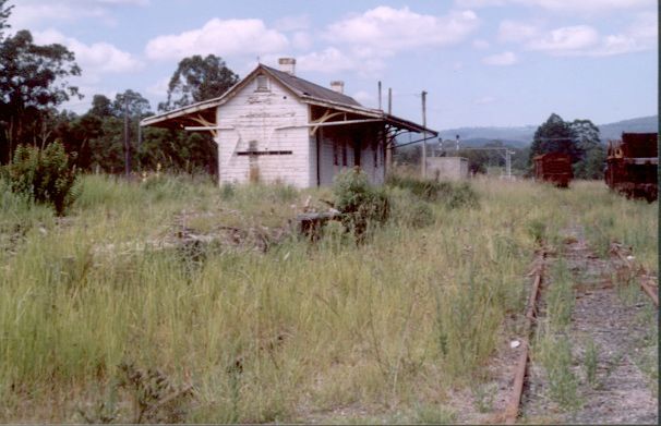 
Another view of the rear of the overgrown platform.
