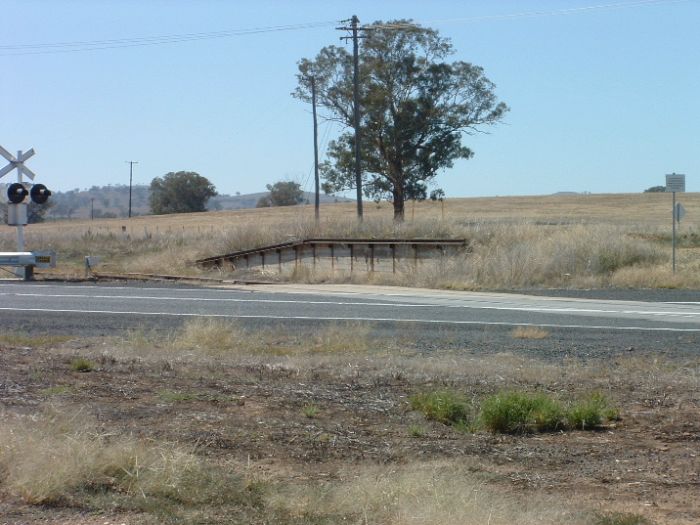 
The view looking north at the remains of the goods platform.
