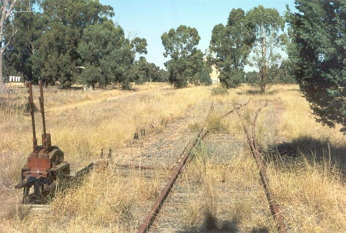 
The view of from the Culcairn end of the yard with the B frame on
the right and the silos in the distance through the trees.
