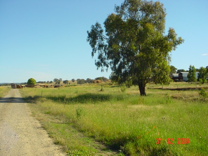 
The view looking towards the one-time location.  Beyond the tree in the
centre of the shot is a lever frame.
