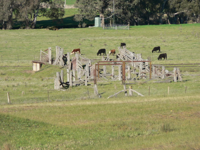 A close-up of the stock loading ramp at the down end of the yard.