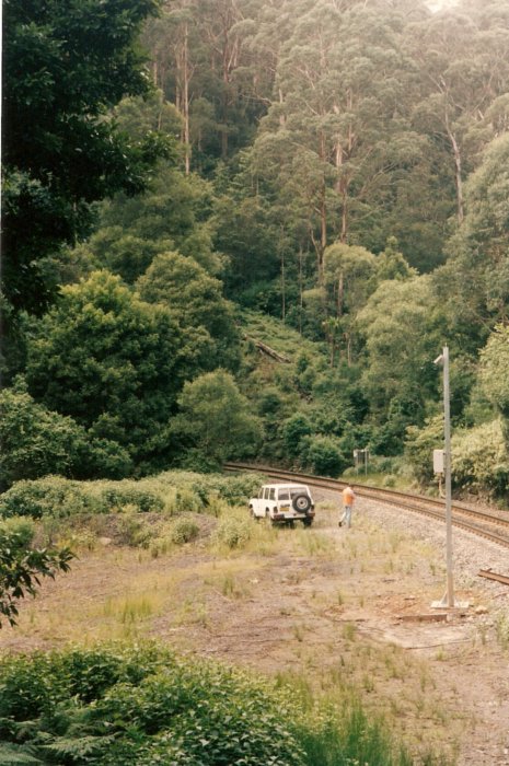 The Down (Moss Vale) portal.