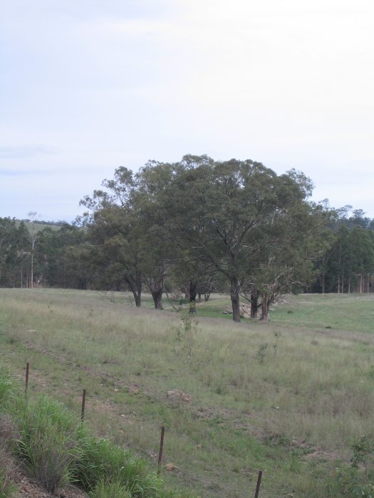 The remains of the formation from before the Main North was diverted around Lake Liddell.