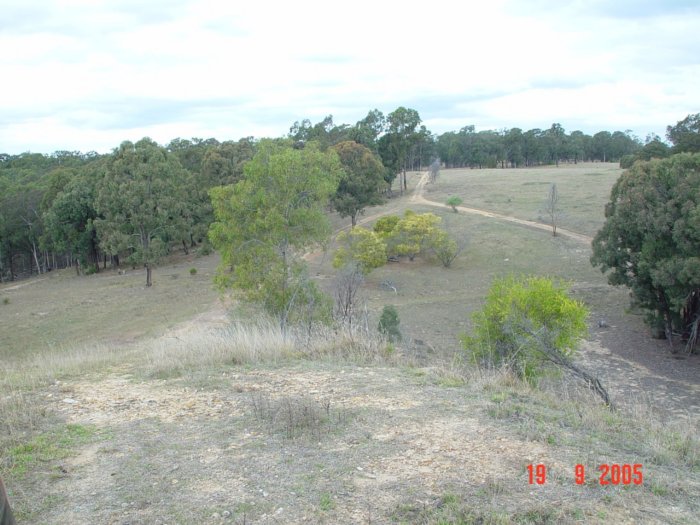 The view looking back from Nepean River bridge southern approaches.