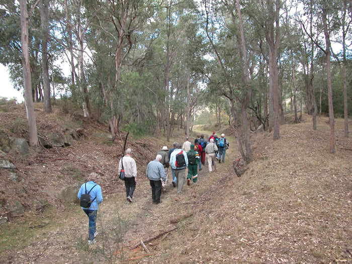 The cutting approaching Kemsleys platform from Red Cutting. 