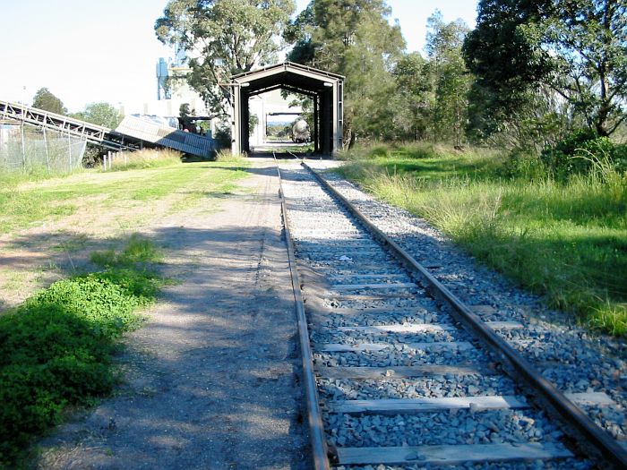 
The Blue Circle siding as it approaches the cement works.
