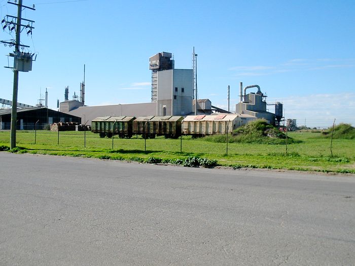 
Old disused wagons in one of the industrial sidings on Kooragang.
