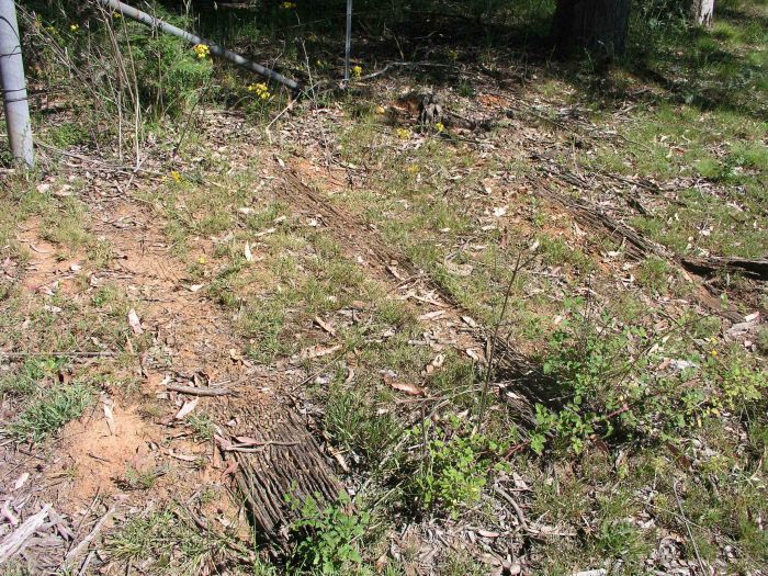 
A close-up of some sleeper remains in the old track bed.
