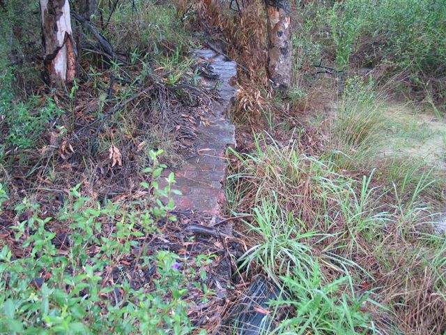 
The remains of the platform, almost hidden in the undergrowth.
