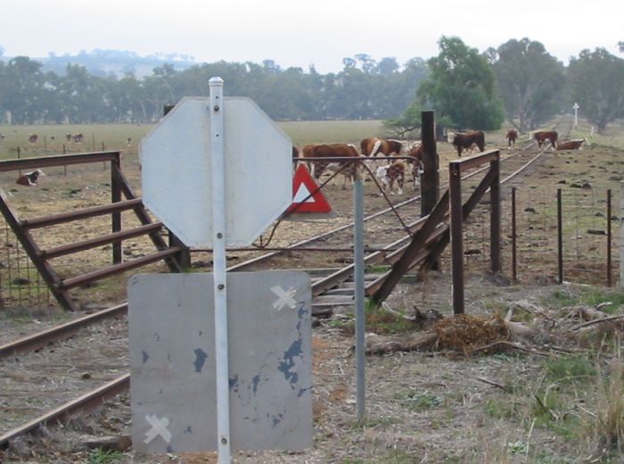 
The view at the northern approaches, looking back towards Wagga.  The
landmark signal is visible in the distance.
