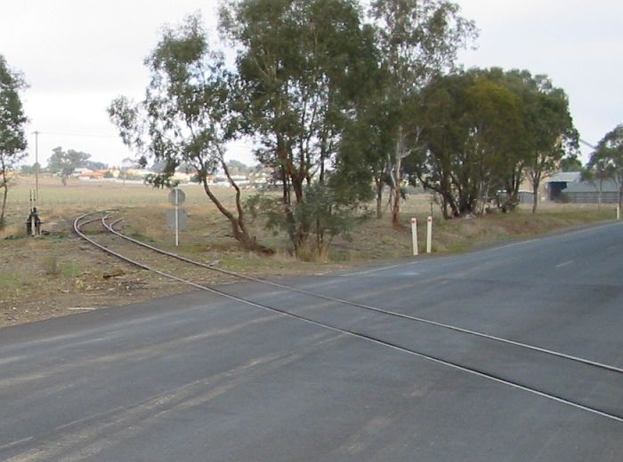 
The northern end of the Ladysmith yard, with the D Frame and the end of
the stock siding.
