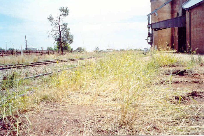 The view looking past the silos towards the end of the line.