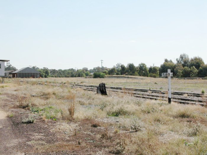 The view looking over the one-time yard.  Still present are the grain shed and loading bank.