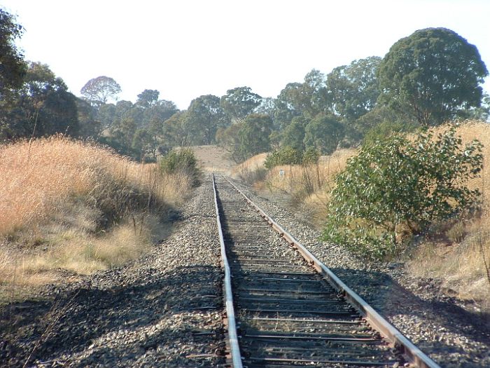 
No trace remains at Lucan, in this shot looking back up the line towards
Blayney.
