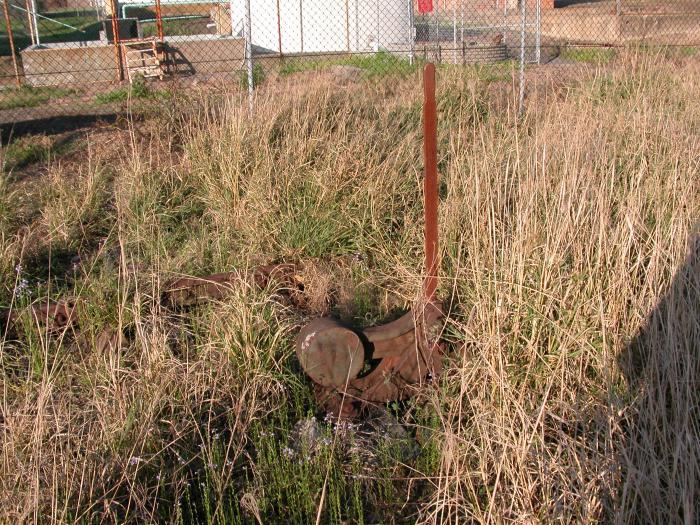 A point switch outside the Allowrie Butter Factory is all that is visible above the long grass.