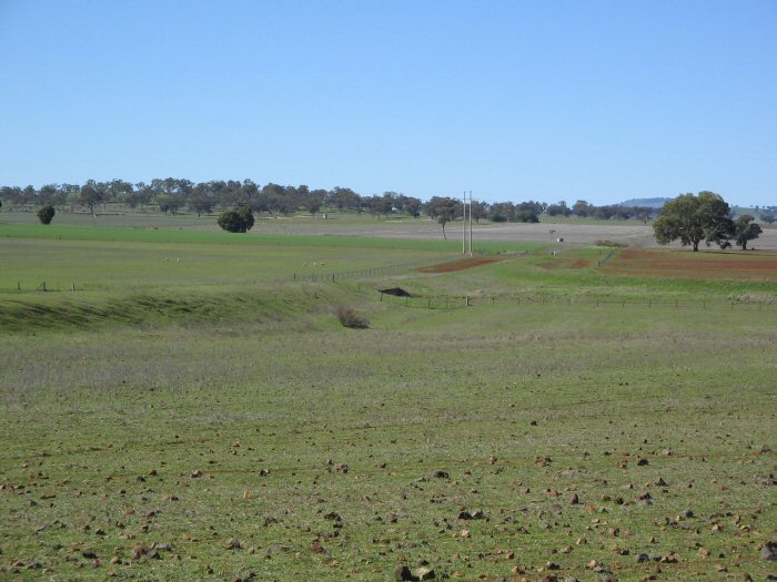 The view from the main line looking east over the northern leg of the triangle.