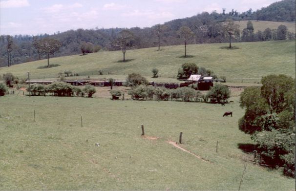 
A shot of Megan station and surrounds, taken from the nearby road.
