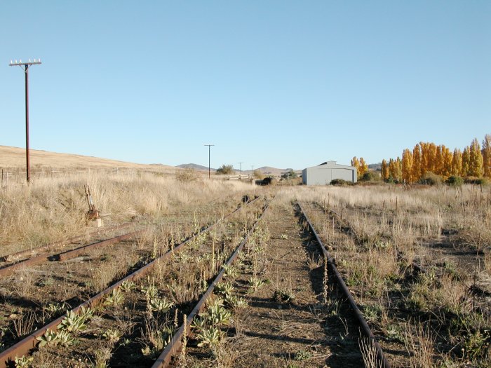 The view looking south through the yard.